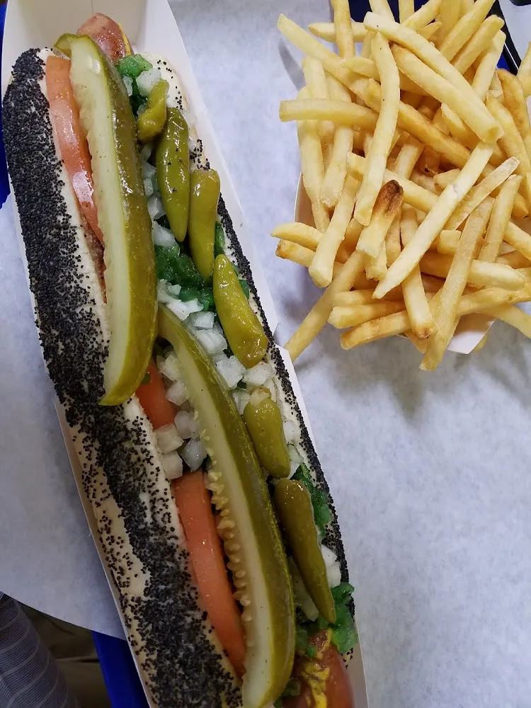 Chicago Dog Regular